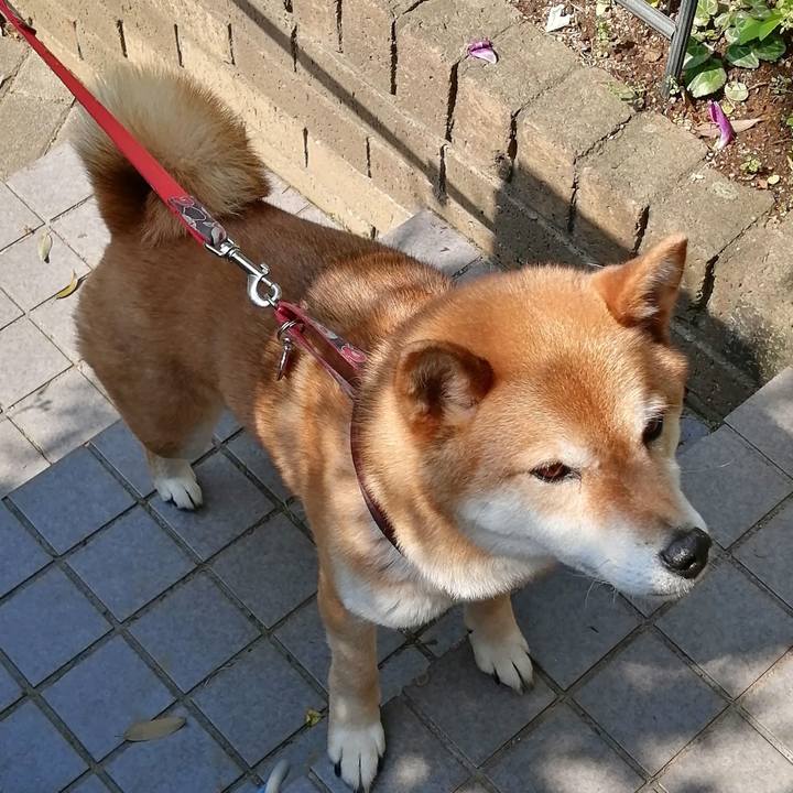 6faac582 e362 4e5c bb93 34b4e8562517 1588468162645