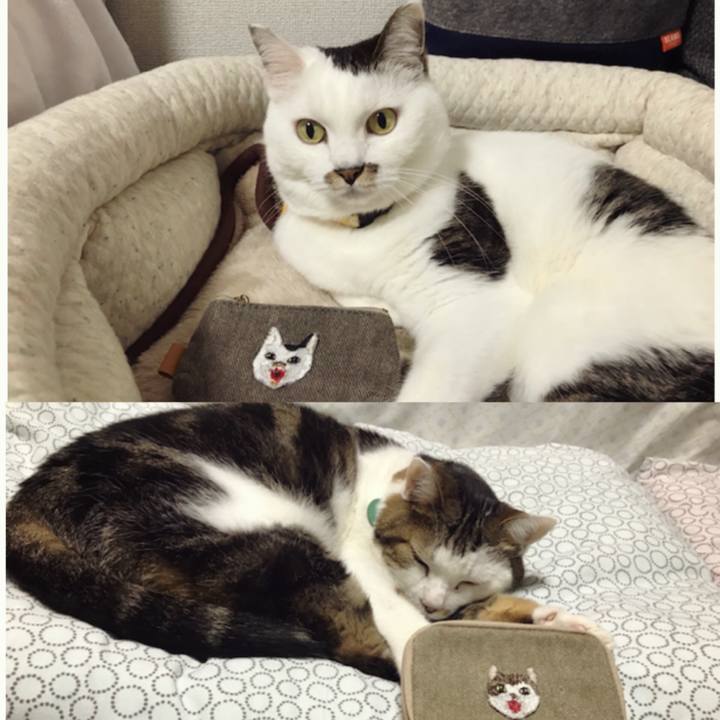 6faac9ff 578d 4a7d bbea 4c537bb4501c 1571468439185