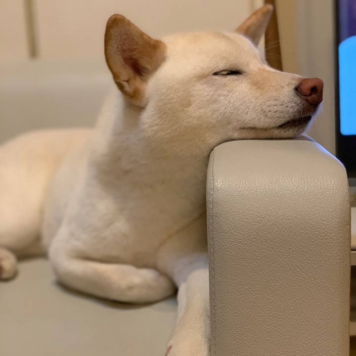 6faace00 cd9a 4e2a 8b98 59093dd88c58 1554635109822