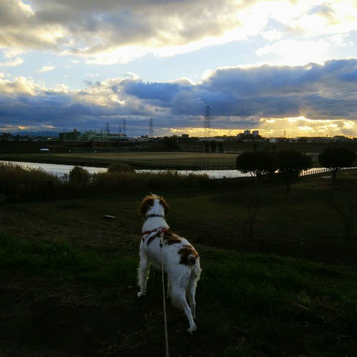 6fab0492 2923 4a1e 8d5c fe5d02ef9037 1544612318248