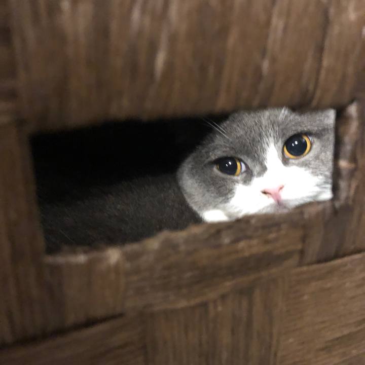 6fab11a6 ed45 4108 89df 8f75a7ce61b5 1606316031877