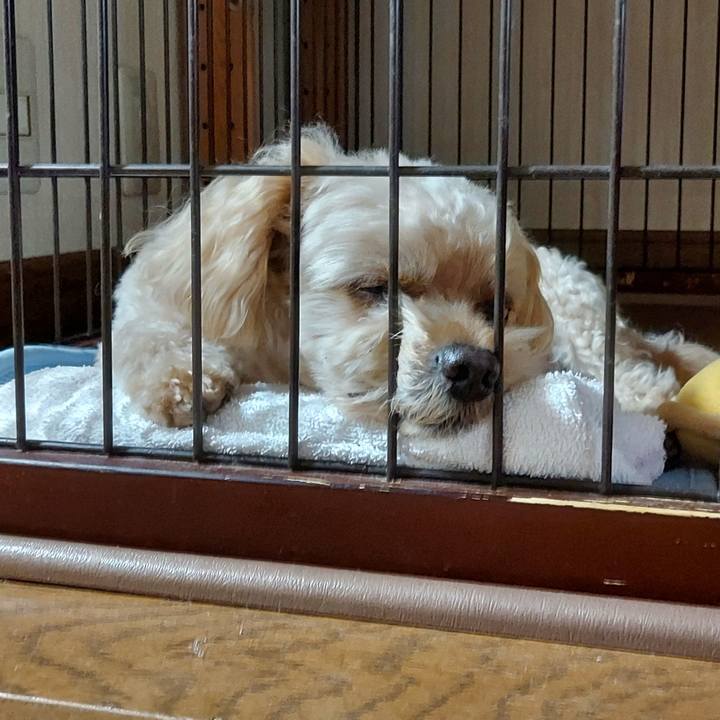 6fab13c2 d38a 47cc 9478 dcd2998b7f3f 1627890369677