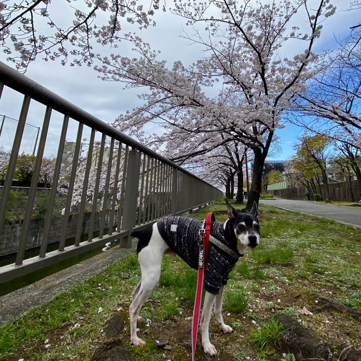 6fab1c23 e8d0 4de8 96e0 9ba913f14536 1586055639318