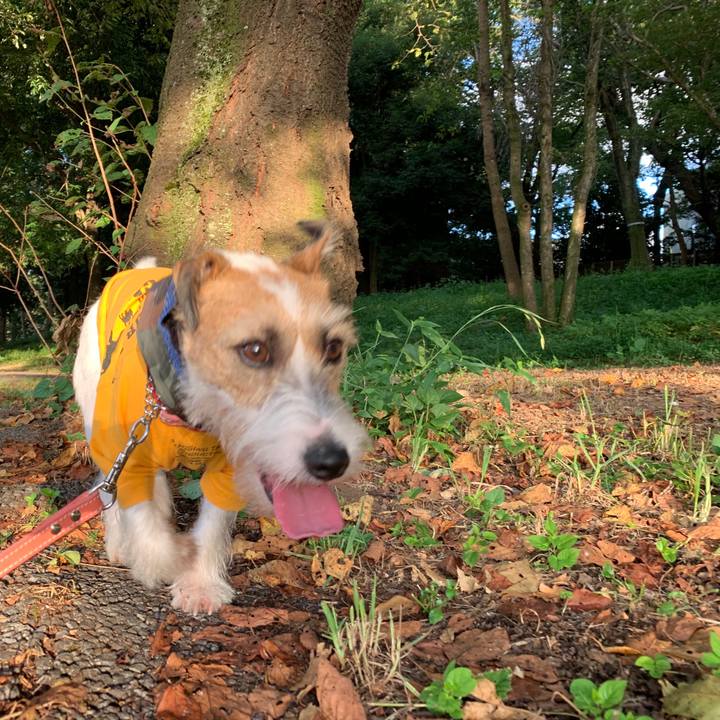 6fab3c86 ec9f 47f8 8fae ec6b6f08c0ac 1598265822869