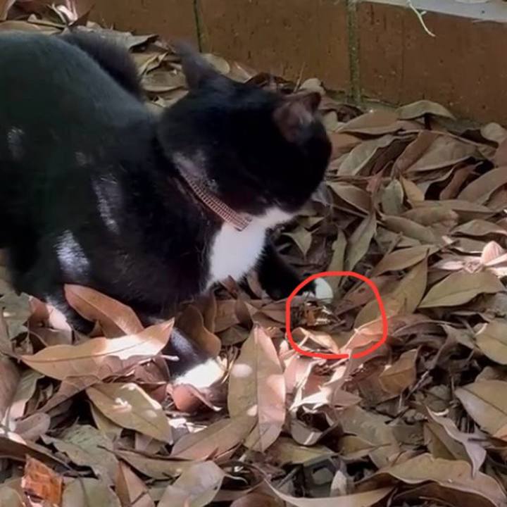 6fab4ca9 fefb 432e 84a2 d5648b0042ea 1753063395133