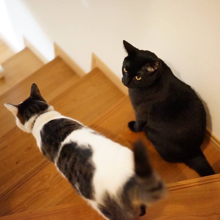 6fab6b69 0f9d 4501 8e50 c3cad6c96e48 1550803862175