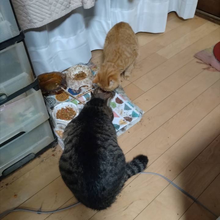 6fabaef2 ced8 4fba 979c 099e775ea2e5 1670932301865