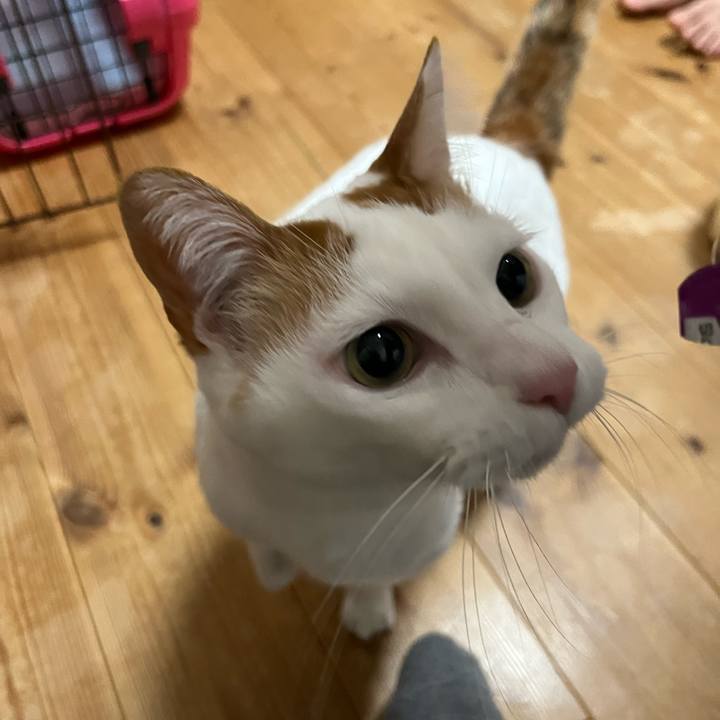 6fabda93 14e1 464e 80b3 17fc375c7a90 1772323397083