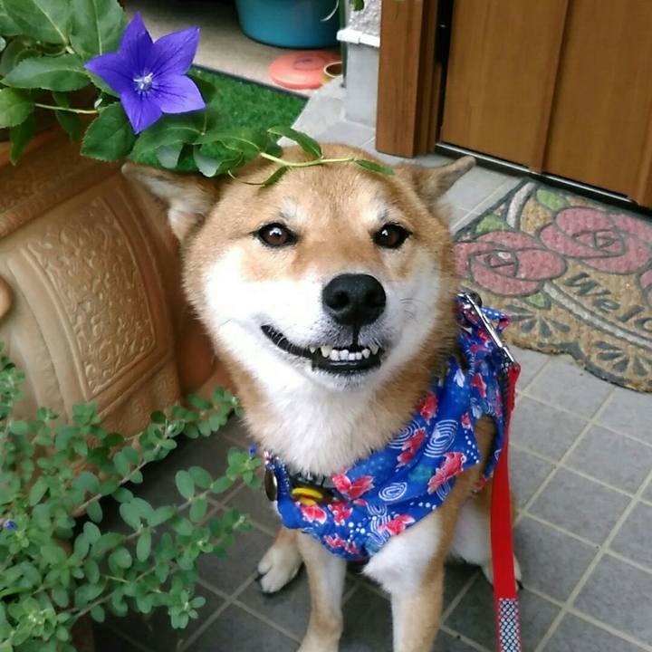 6fabdbb3 2402 417f 97f7 73fe89ce31d8 1535617688762