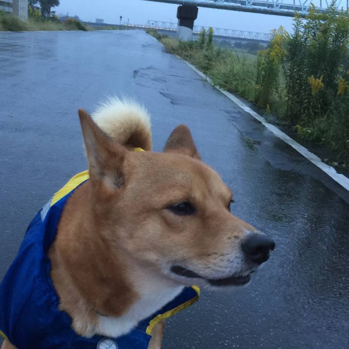 6fac01da 292b 42be 839c cd78a3f27489 1508192932878