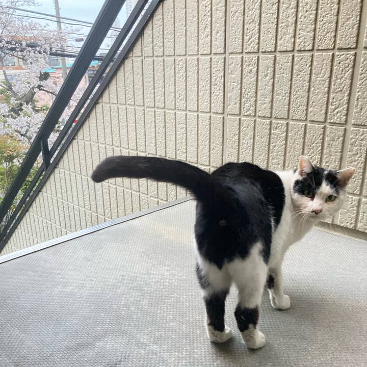 6fac1956 14dc 4bb6 af69 d6be017ff744 1774956484792