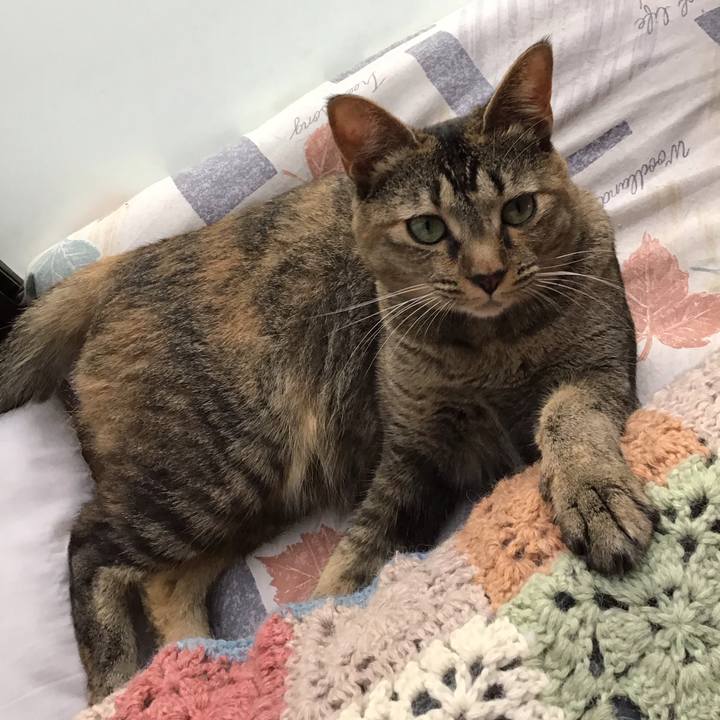 6fac3a58 10c4 4de0 8abd bb046933b812 1596530514006