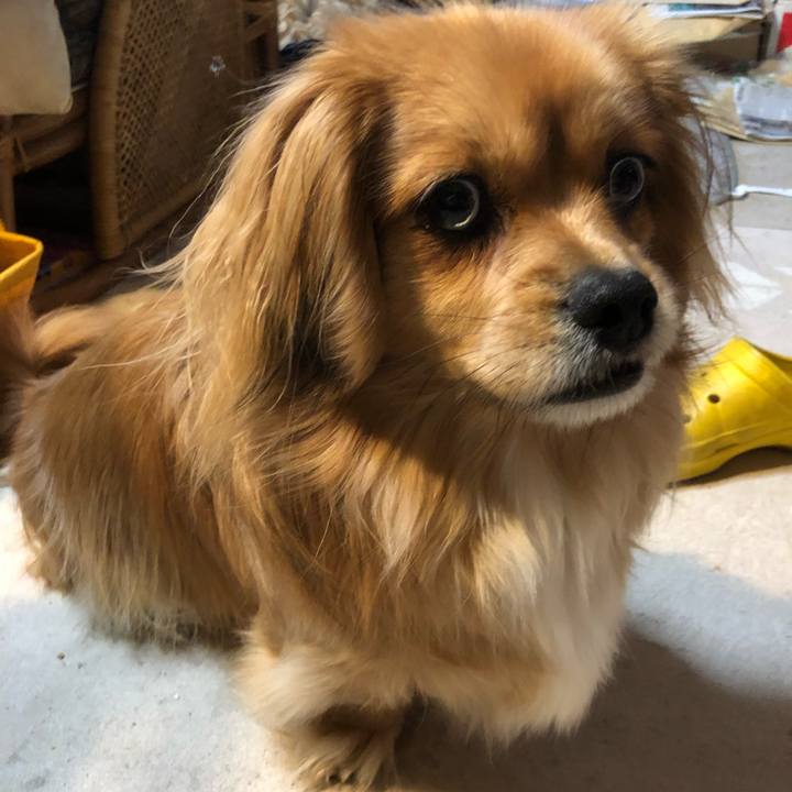 6fac47b4 c934 464f a3a2 9ea5626e0df5 1551994736957