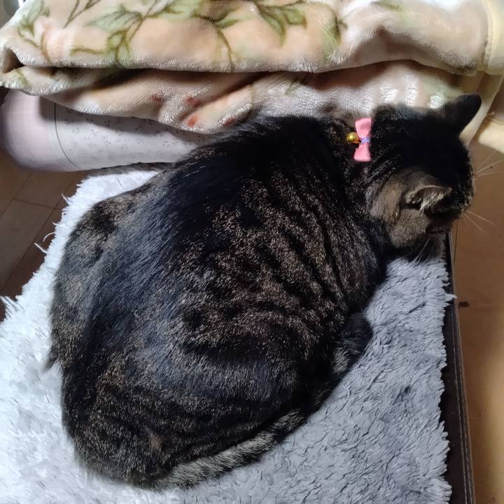 6facbb33 b647 45d1 8907 47d7c266c613 1666391412695