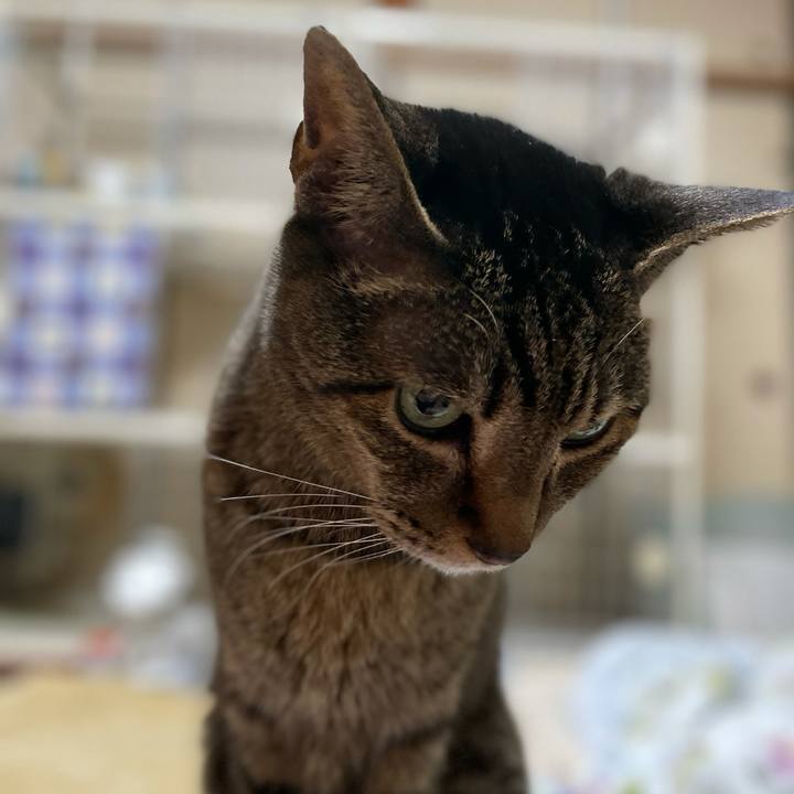 6face59d bdec 4e82 b86e f1b1f8a8597c 1616895648426