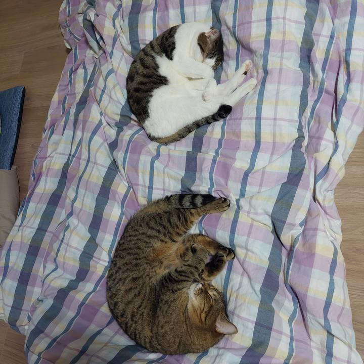 6fad2b29 c5ef 411f ad0f b066c633b1b0 1633093785234