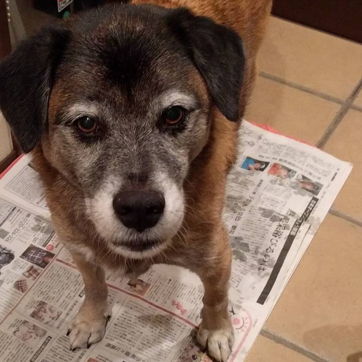 6fad8386 d24e 4075 97cb 63e113e79cb4 1508410536914