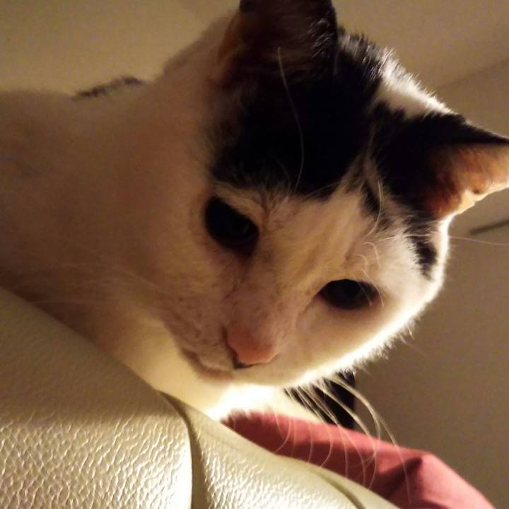 6fad9b06 9829 4434 b363 6778d75b824b 1578136074333