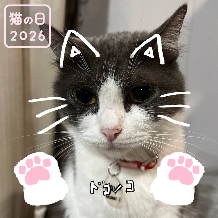 6fadae6e 8753 41d6 b4bb 8a0e8524b4f3 1771721707316