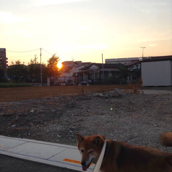 6fadb7dc 236c 410f ad6d 7adae7c2c669 1531994291968