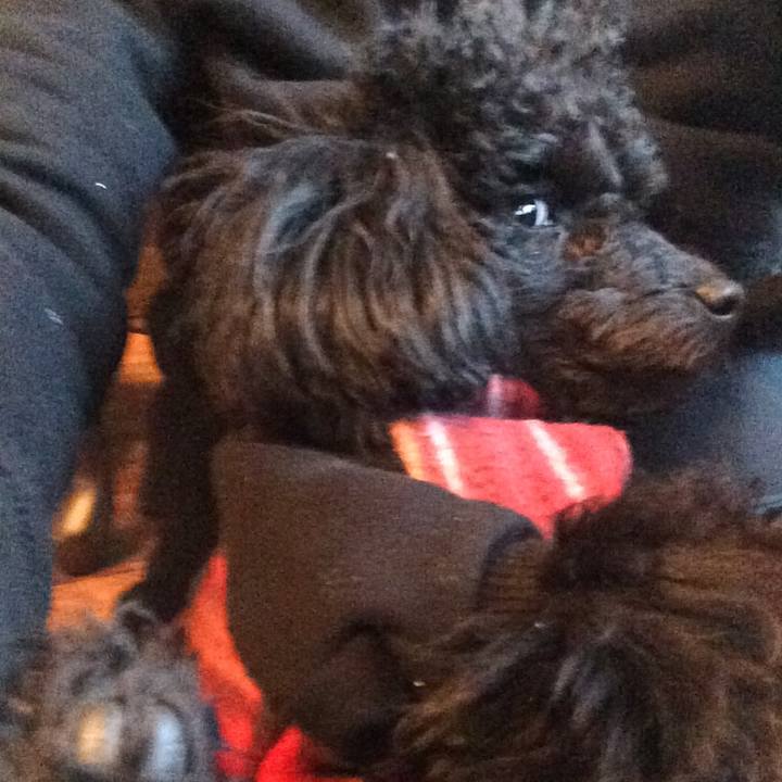 6fadc7c4 7c87 4d5b 8603 8f9d9a2c1a37 1514443120352