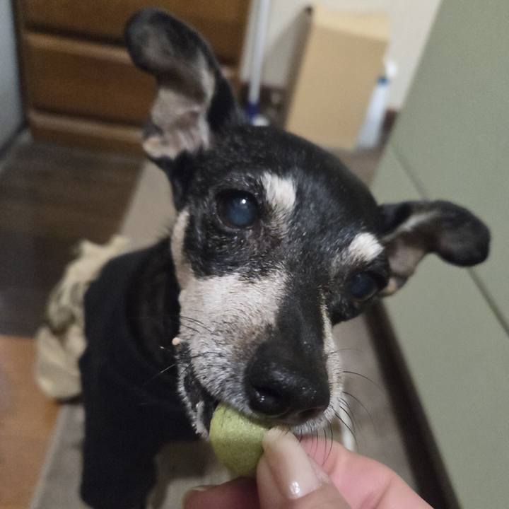 6fadcc73 d2e0 4133 8675 d09ee1eb74ce 1764015201828