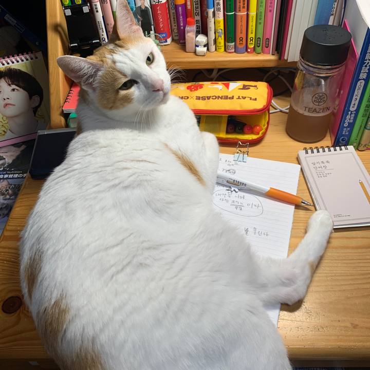 6fadd842 a68c 4495 a8d8 60c2c425ac62 1622754093598