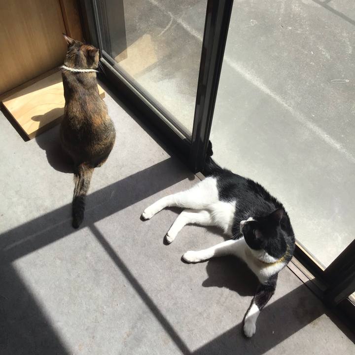 6fadd923 a713 4e7f bd6c 34692f4e43ee 1649217717758