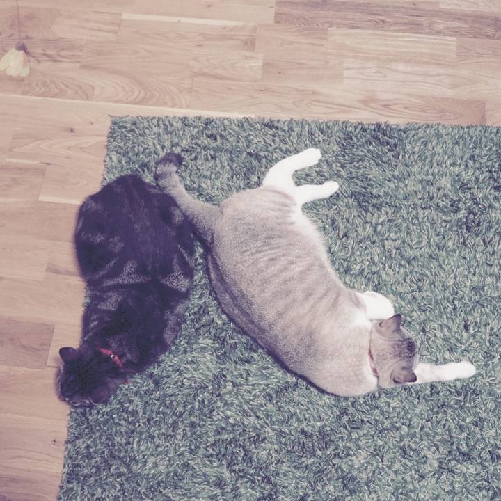 6fae1d07 ccea 4f2b 9c4a 7db0349f34b7 1601253275754