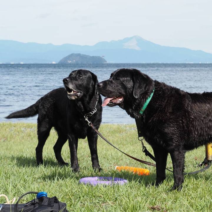 6fae1df4 98ea 4dd3 9802 dbb3b3bda830 1758627510658