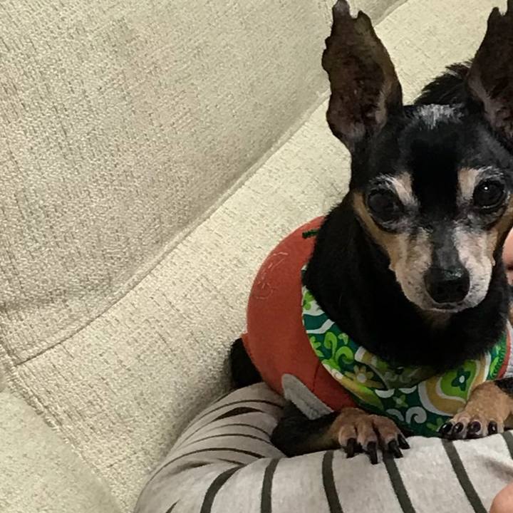 6fae5fdb a77e 4e73 82d3 111067d1fe14 1523772958330