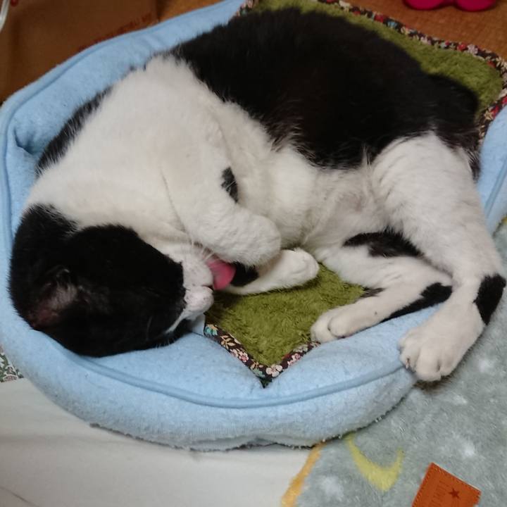 6faeaf79 3cdf 4c2f a998 2f5b9b4bf9c1 1538055205136