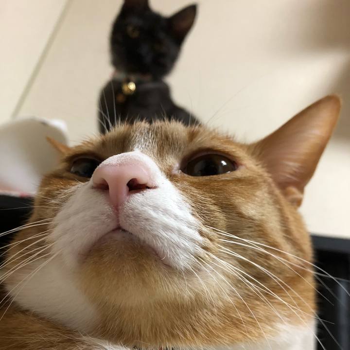 6faeb421 0317 40c0 91ad f30d6856c7aa 1609371945135