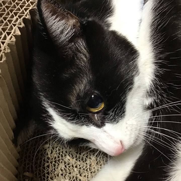 6faf0c82 6ad2 4af9 9c25 4c6aecaf44ce 1698837389835