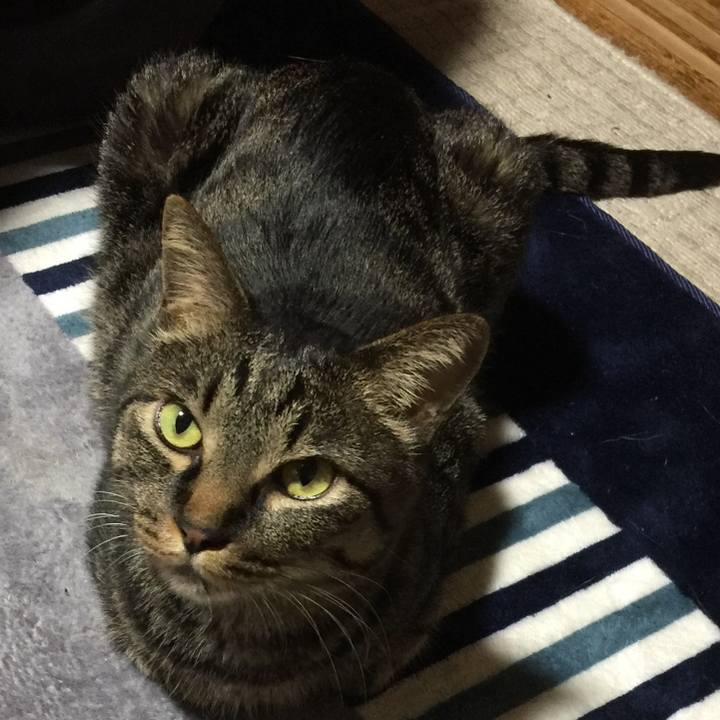 6faf36c9 8666 4552 a7cf 42b344c8be04 1528279474370