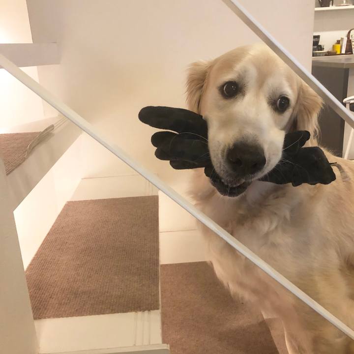 6faf4a81 ad11 4402 9ec8 21be740789f8 1551539026955