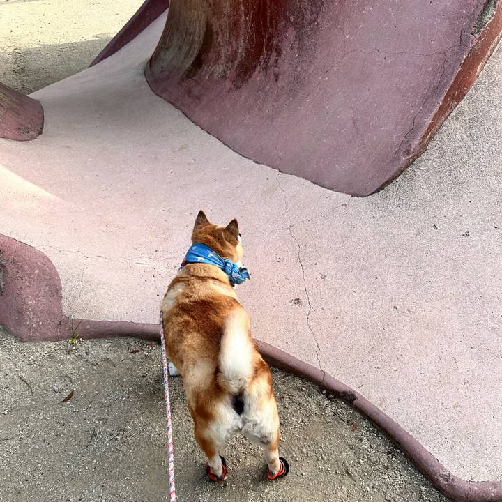 6faf4c1e ba10 4dcf a01e 1e1d87dd60db 1753221996430