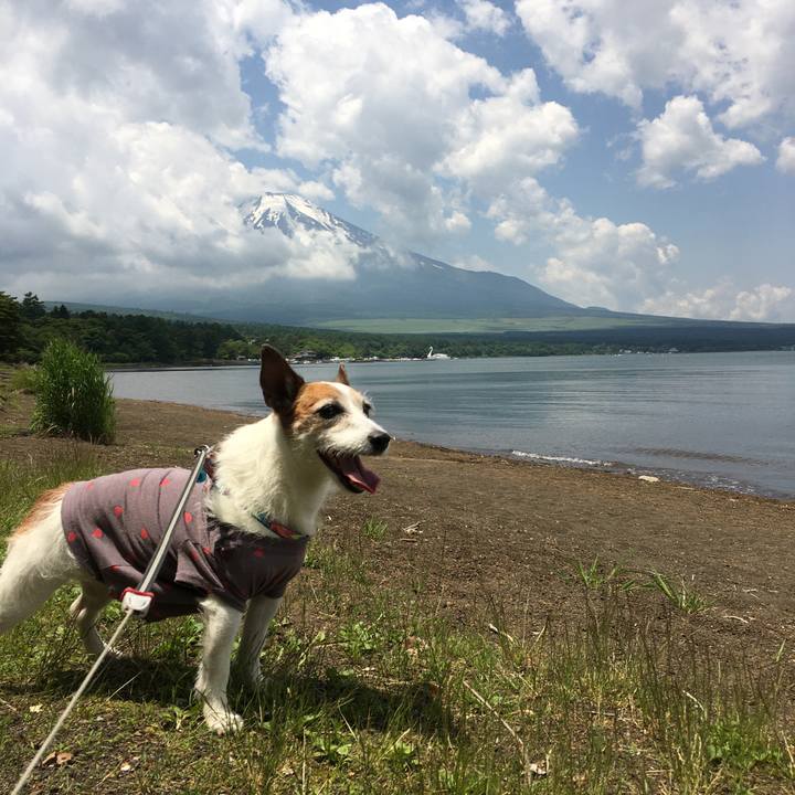 6faf5240 f792 4752 a661 c097e4c71d07 1654301765380