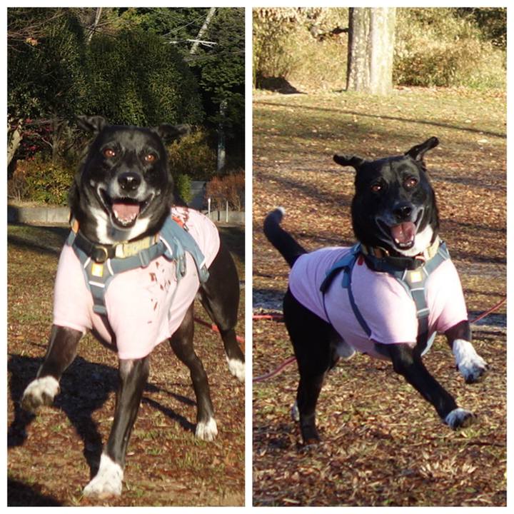 6faf6243 c4f0 417c bc55 c0e012aa33fe 1704503004524