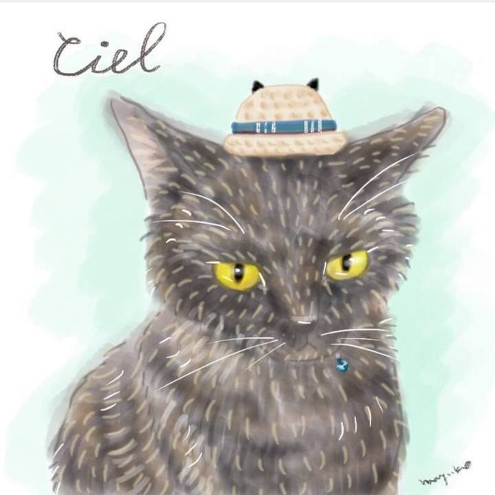 6faf6c43 0b24 475d 8201 766ecf31de12 1571721934152