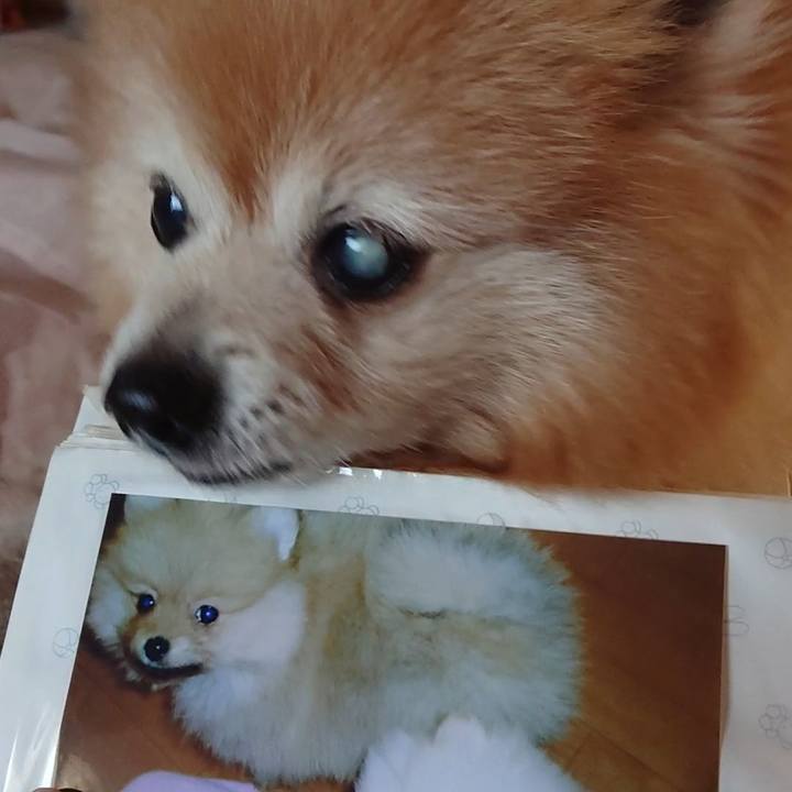 6fafa5e6 47fc 4981 8477 eab27dfef014 1619217841289