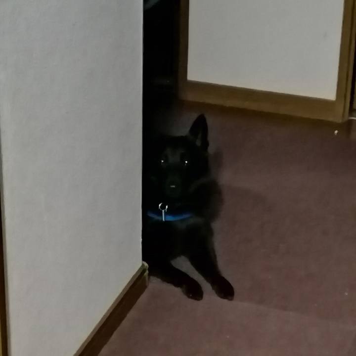 6fafd9a1 84ae 4e0c 86f1 f47d70bcbc18 1630961605709