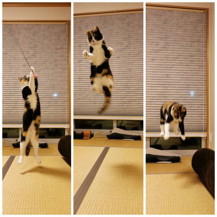 6faffc4b 0dce 4e18 b7d0 85b4af7f407b 1646279313536