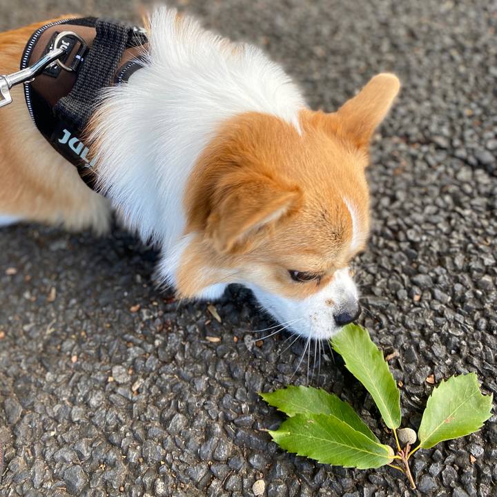 6fb02367 ecba 4ef9 a080 a47d49e8bfa0 1598747339134