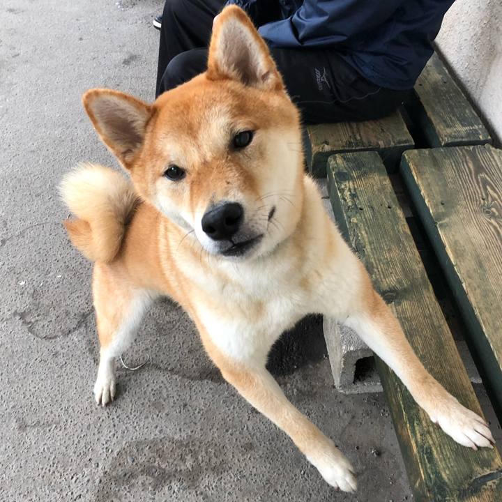 6fb0ded6 dd73 409e b7f8 0cd29e8365d5 1560640366073