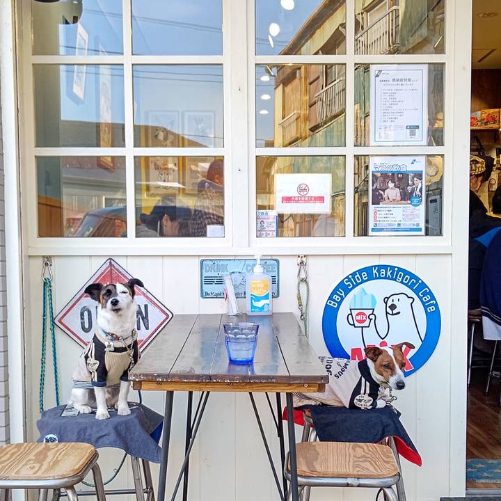 6fb10cea f979 4bba b0e8 e9b349bd1e43 1651566364724