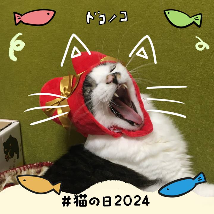 6fb10e41 4801 4519 90e0 4b6a0df2aaa1 1708540592200