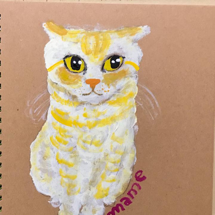 6fb116c2 c8d6 4c60 9b63 2fb6f88c8e57 1570738550703