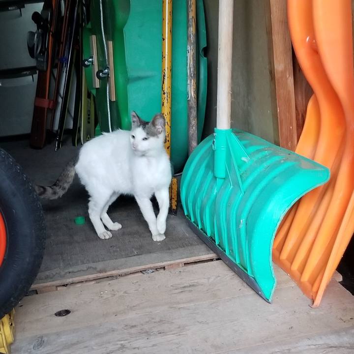 6fb130ef 05db 406c b233 d86b7a703e4b 1691329470339