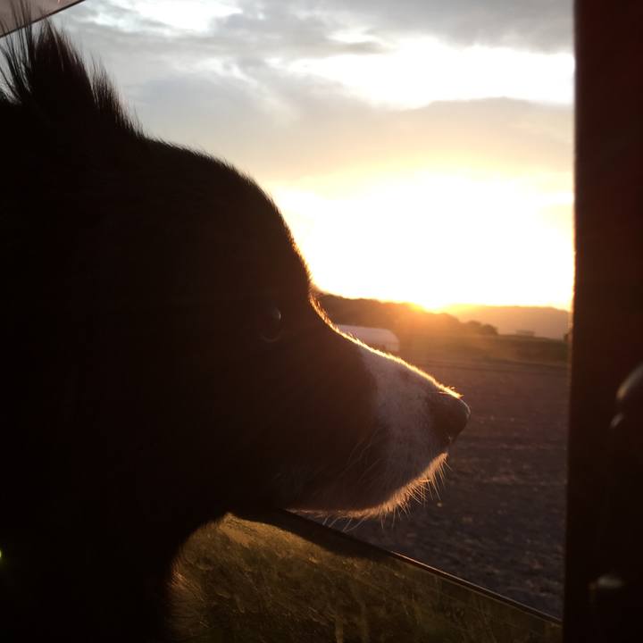 6fb167c6 e21e 454d 9d78 9b0fea75537e 1529235113682